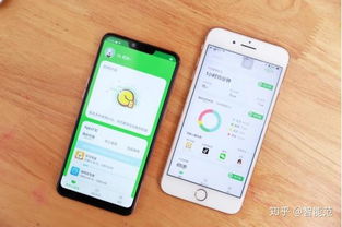 小格雷攜手OPPO，為學(xué)生群體量身打造專屬手機(jī)
